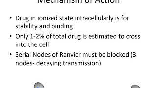 Local Anesthetics Pharmacology  Dr Bauereis [upl. by Hedwig]