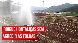 Irrigação por carretel em hortaliças sem agredir folhas [upl. by Akcirehs]