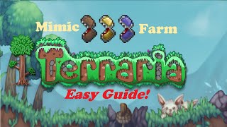 Terraria  Mimic Farm  A Beginners Guide to Easy Efficient AFK Mimic amp Platinum coin farming [upl. by Enyawad]