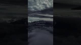 Quran telwatquran status islamicvideo islamicshorts support viralvideo support subscribe [upl. by Suckram]