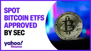 SEC approves spot bitcoin ETFS [upl. by Rahas]