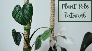 Sisal Rope Plant Pole Tutorial  Way Better Than Moss [upl. by Fern1]