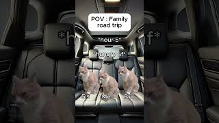 Cat memes 🐱 Family road trip catmemes relatable cat catshorts shorts family roadtrip [upl. by Toma]