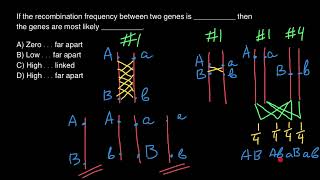 Crossing Over  Linked Genes  Genetic Recombination [upl. by Dustin747]