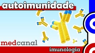 Autoimunidade  IMUNOLOGIA Vídeo 11 [upl. by Imar]