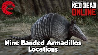 Nine banded Armadillo Locations rdr2 Online  Red Dead Online Nine banded Armadillos Location Guide [upl. by Flavia169]