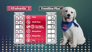 How to APPLY K9 Advantix Dog Flea Tick Medication [upl. by Lamar239]