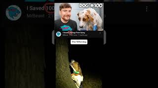 The 101st Dogs 🐕 shortsfeed mrbeast [upl. by Trinidad]