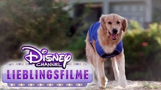 Air Bud 5  Vier Pfoten schlagen auf  DISNEY CHANNEL Lieblingsfilme im Juni [upl. by Ribal560]