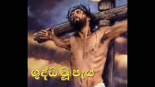 ශුද්ධවූ පැය Shudda Wu Paya Holy Hour with sinhala lyrics [upl. by Lenssen160]