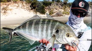 SILVER TREVALLY on SOFT PLASTICS [upl. by Iramo]