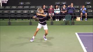 Grigor Dimitrov Forehand Slow Motion 2019 [upl. by Inram83]