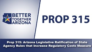 Better Together Arizona  Arizona Ballot Initiatives 2024  Prop 315 [upl. by Atinnek]