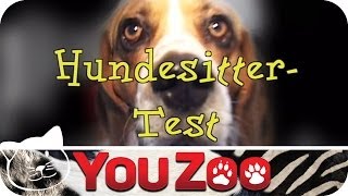 Der Hundesitter Test │YouZoo [upl. by Edmon]