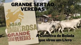 Grande Sertão Veredas [upl. by Penoyer]