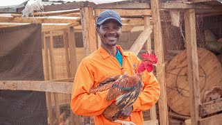 The Success Story of Chickworld Poultry Farm with Tappi Mini App [upl. by Honeywell]