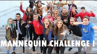 BEST MANNEQUIN CHALLENGE IN PUBLIC   MannequinChallenge [upl. by Orji]