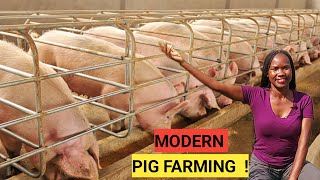 How To Become A Millionaire Through PIG Rearing  2022 TIPS [upl. by Petua455]