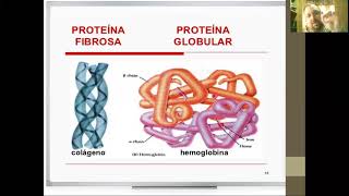 Química Biológica  Proteínas  Clasificación [upl. by Eiramac224]