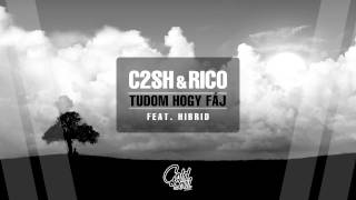 C2SH amp Rico  Tudom hogy fĂĄj ft Hibrid [upl. by Zoie]