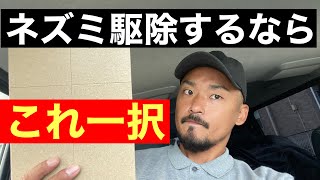 【素人でも駆除できる】本気で対策するならこれ一択！ [upl. by Syah]