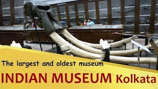 quotINDIAN MUSEUMquot The largest and oldest museum in India  Kolkata  West Bengal Tourism [upl. by Nipsirc]