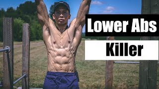 5 Min Lower Abs Workout on Pullup Bar [upl. by Anirdnajela]