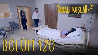 Yaralı Kuşlar 120 Bölüm [upl. by Akenn]