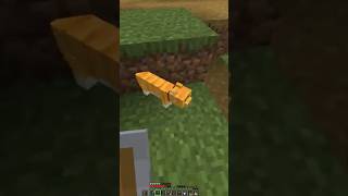 Garfield clutch minecraft gaming [upl. by Henrie317]