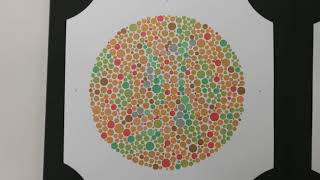 Video 6 The Ishihara Test for Colour Vision [upl. by Hsiwhem]