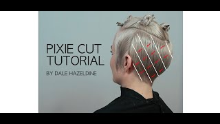 STEP BY STEP PIXIE CUT TUTORIAL  hair by DALE HAZELDINE [upl. by Gildea]