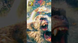 KONG Fight scene from Godzilla X Kong The New Empire movie kong godzillaxkongthenewempire fight [upl. by Rolanda488]