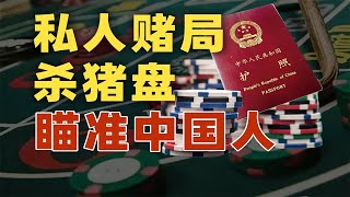 免签之后，国外私人赌局盯上中国人？【资本带鳄韭菲特】 [upl. by Rebecka]