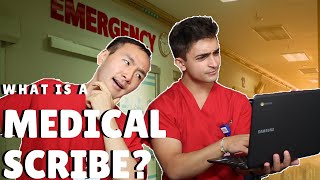 What is a MEDICAL SCRIBE [upl. by Akcirehs]