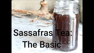 Sassafras  Part 2 Basic Tea [upl. by Durning]