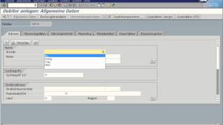 Debitor anlegen [upl. by Foy]