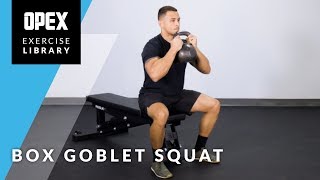 Box Goblet Squat [upl. by Pahl]