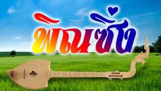 Thai Electric Phin  Isan music 泰國北方曼陀林 [upl. by Locklin]