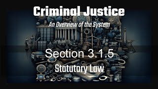 Section 315 Statutory Law [upl. by Mahgem131]