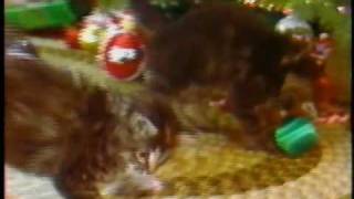 Bangor Savings Bank quotChristmas Kittensquot [upl. by Neraa631]