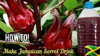 How to make Jamaican Sorrel DrinkChristmas Sorrel 🍷A Must Try 😋 💯🇯🇲💞 [upl. by Sumedocin556]