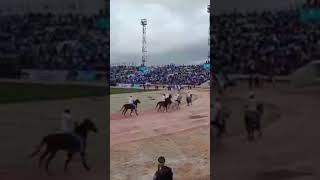 1Da Luulyo iyo Stadium Muqdisho [upl. by Eidnarb]