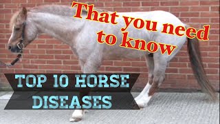 10 Most Common Horse Diseases  That you NEED to know [upl. by Fleur]