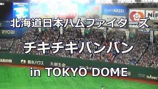 【歌詞付き】チキチキバンバン 北海道日本ハムファイターズ チャンステーマ in TOKYO DOME [upl. by Aigneis278]