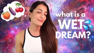 What Is A Wet Dream  Leeza Mangaldas [upl. by Ainattirb]