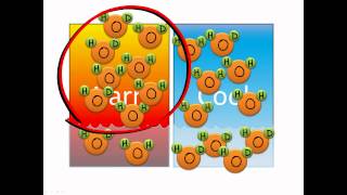 Isotope fractionation [upl. by Grete]