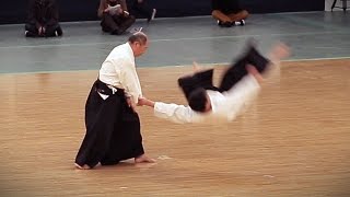 Daitoryu Aikijujutsu  Kondo Katsuyuki  38th Kobudo Embutakai at the Nippon Budokan [upl. by Llerol]