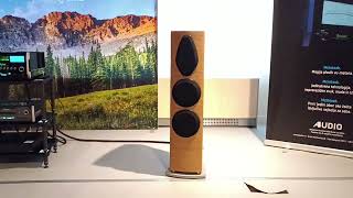 Sonus Faber Sonetto VIII G2 and McIntosh [upl. by Marjorie]