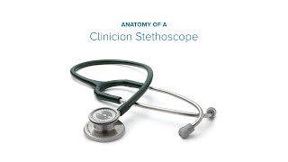 Early Stethoscopes  Slices of Time [upl. by Raffaj]