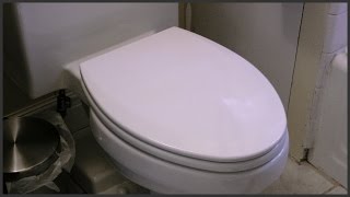 Elongated Toilet Seat Replacement [upl. by Sremlahc485]